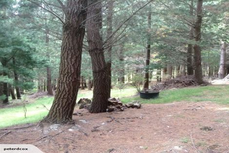 Photo of property in 524 Hayland Road, Okuku, 7473