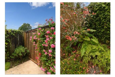 Photo of property in 19 Havenbrook Way, Pyes Pa, Tauranga, 3112