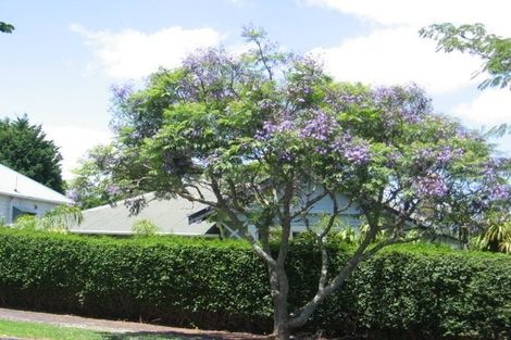 Photo of property in 22 St Albans Avenue, Mount Eden, Auckland, 1024