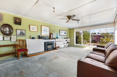 Photo of property in 30 Clutha Street, Alexandra, 9320