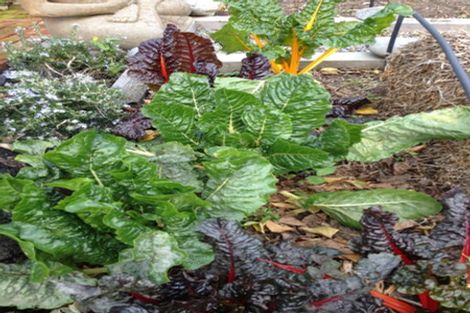 Photo of property in 8 Ocean View Terrace, Sumner, Christchurch, 8081