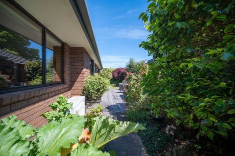 Photo of property in 2/90a Halifax Street East, The Wood, Nelson, 7010