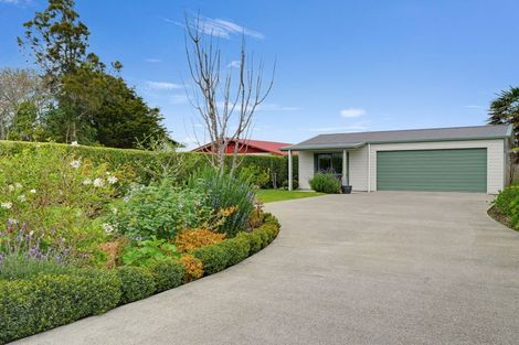 Photo of property in 135 Harrison Street, Whanganui, 4500
