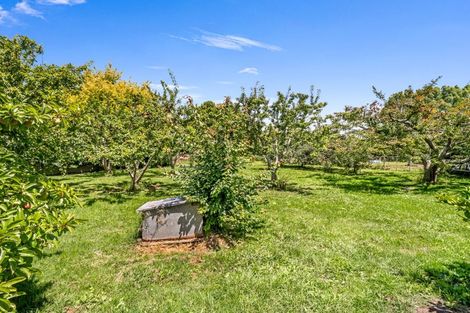 Photo of property in 42 Delhi Avenue, Aramoho, Whanganui, 4500