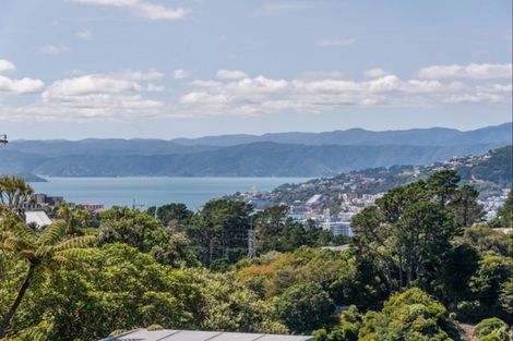 Photo of property in 53 Mount Pleasant Road, Aro Valley, Wellington, 6012