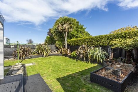 Photo of property in 62 Nelson Street, Forbury, Dunedin, 9012