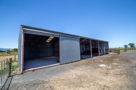 Photo of property in 331 Piako Road, Turua, Thames, 3574