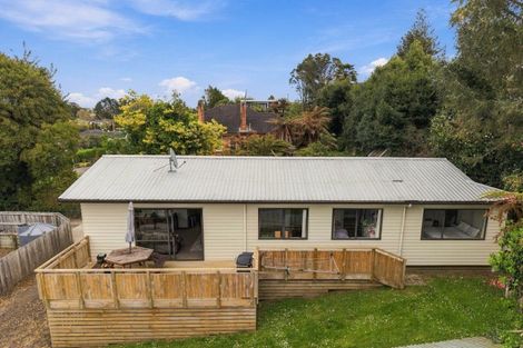 Photo of property in 91c Arapuni Street, Putaruru, 3411