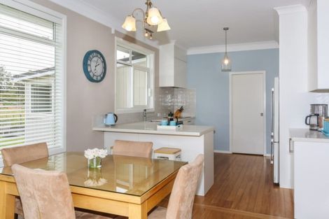 Photo of property in 145 Ponga Road, Opaheke, Papakura, 2584