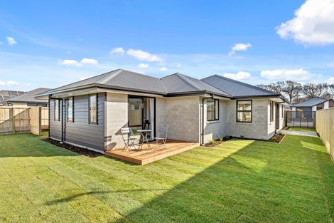 Photo of property in 11 Quinn Crescent, Woodend, 7610