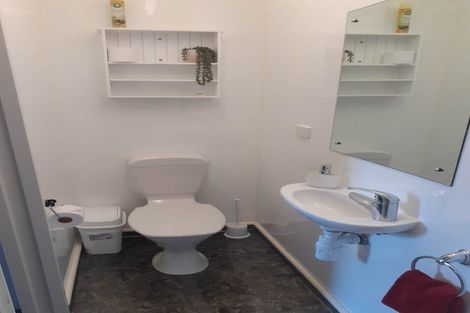 Photo of property in 37 Hope Street, Dunedin Central, Dunedin, 9016