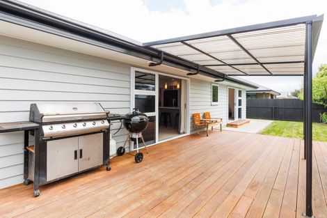 Photo of property in 44a Pharazyn Street, Feilding, 4702