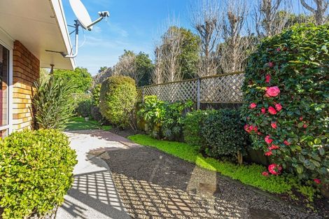 Photo of property in 101 Plateau Heights, Mount Maunganui, 3116