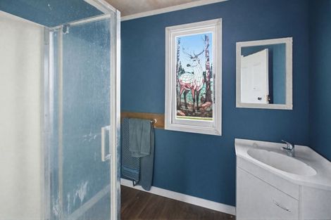 Photo of property in 38 Meadow Street, Lumsden, 9730