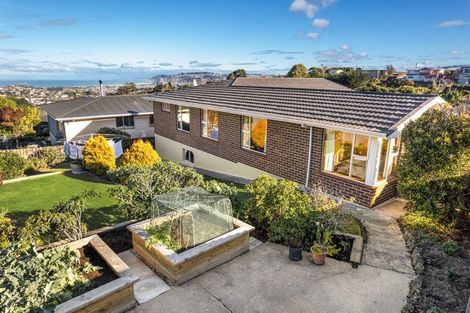 Photo of property in 2 Murano Street, Waverley, Dunedin, 9013