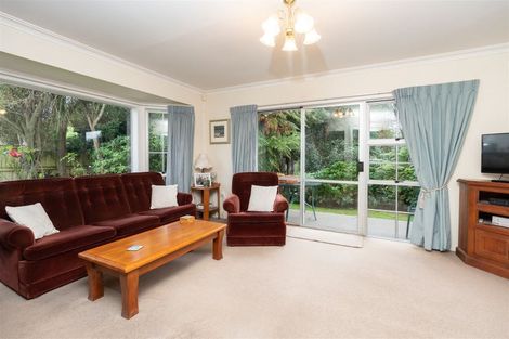 Photo of property in 117b Clarkin Road, Fairfield, Hamilton, 3214