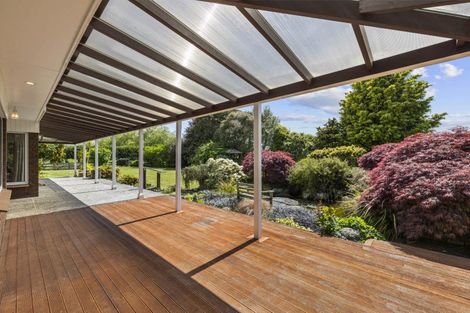 Photo of property in 155 Marshmeadow Road, Newstead, Hamilton, 3286