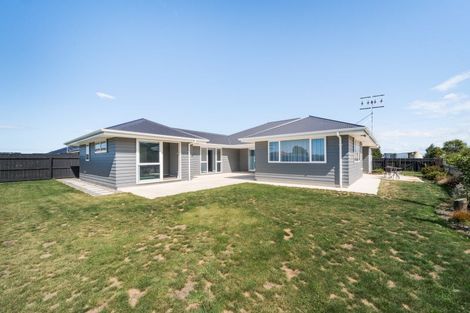 Photo of property in 184 Ranfurly Road, Feilding, 4702