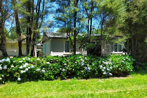 Photo of property in 29 Taupahi Road, Turangi, 3334