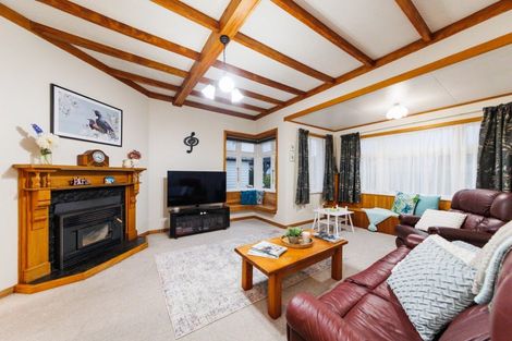 Photo of property in 51 Knowles Street, Terrace End, Palmerston North, 4410