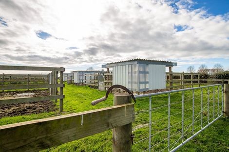 Photo of property in 670 Kaipaki Road, Ohaupo, 3881