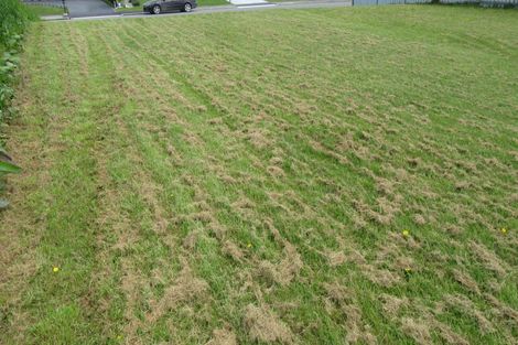 Photo of property in 2 Eric Batchelor Place, Waimate, 7924