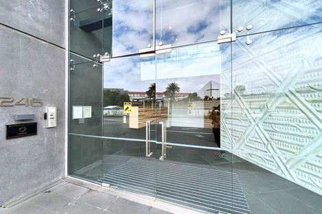 Photo of property in 301/246 Khyber Pass Road, Grafton, Auckland, 1023