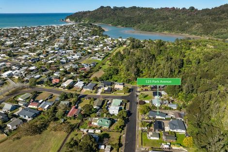 Photo of property in 125 Park Avenue, Whangamata, 3620