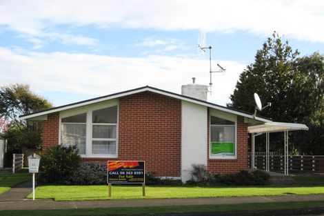 Photo of property in 12 Burn Street, Levin, 5510