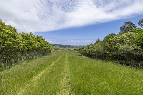 Photo of property in 132 Maungatawhiri Road, Raglan, 3295