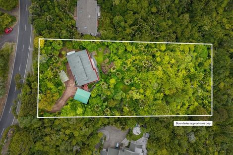 Photo of property in 887 Scenic Drive, Swanson, Henderson, 0781