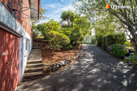 Photo of property in 166 Balmacewen Road, Wakari, Dunedin, 9010