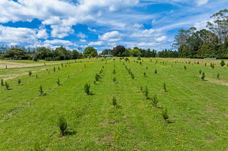 Photo of property in 1080 Omanawa Road, Omanawa, Tauranga, 3171