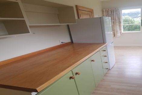 Photo of property in 228 Hillingdon Street, Normanby, Dunedin, 9010