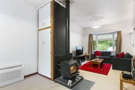 Photo of property in 141 Malvern Street, Woodhaugh, Dunedin, 9010