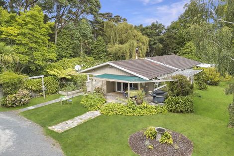 Photo of property in 63 Gilchrist Street, Te Aroha, 3320