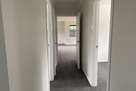 Photo of property in 77a Guy Avenue, Takaro, Palmerston North, 4410