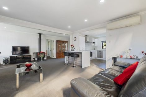 Photo of property in 20 Matau Street, Alexandra, 9320