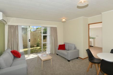 Photo of property in 8b Elizabeth Street, Kensington, Whangarei, 0112