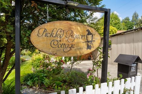 Photo of property in 12 Lismore Street, Lawrence, 9532