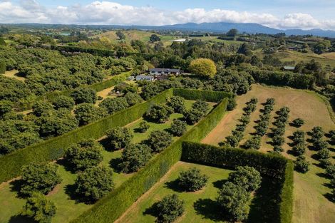 Photo of property in 313 Youngson Road, Whakamarama, Tauranga, 3179