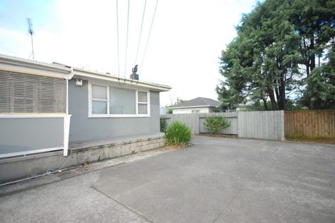Photo of property in 256 Mount Wellington Highway, Mount Wellington, Auckland, 1060