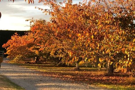 Photo of property in 37 Kerrytown Road, Levels, Timaru, 7975