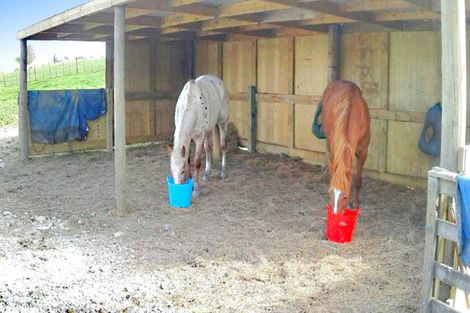 Photo of property in 533 Settlement Road, Kaiwaka, 0573