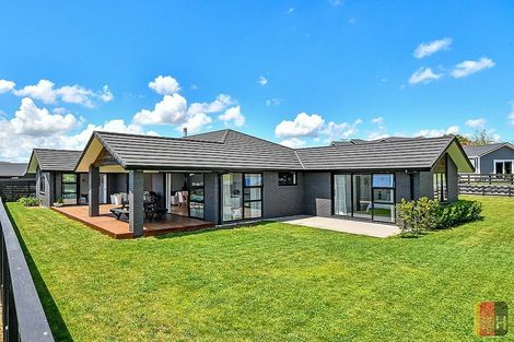 Photo of property in 6 Calcutta Road, Pukekohe, 2120