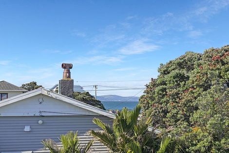Photo of property in 12 Hector Street, Seatoun, Wellington, 6022