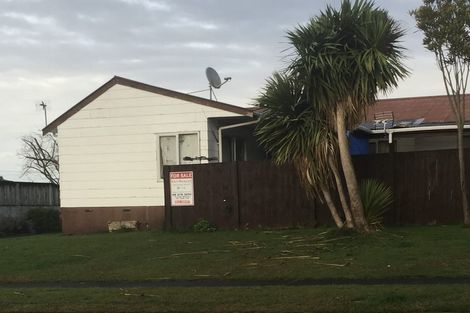 Photo of property in 64 Young Street, Morrinsville, 3300