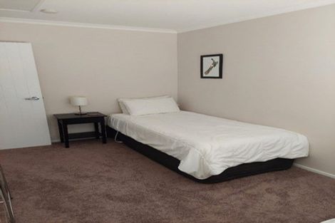 Photo of property in 388 Bidwills Cutting Road, Morison Bush, Greytown, 5794