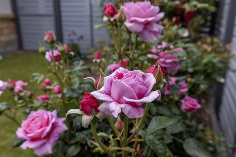 Photo of property in 5a Nathan Avenue, Paraparaumu Beach, Paraparaumu, 5032