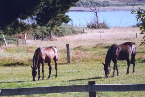 Photo of property in 21 Pakawau-bush Road, Pakawau, Collingwood, 7073